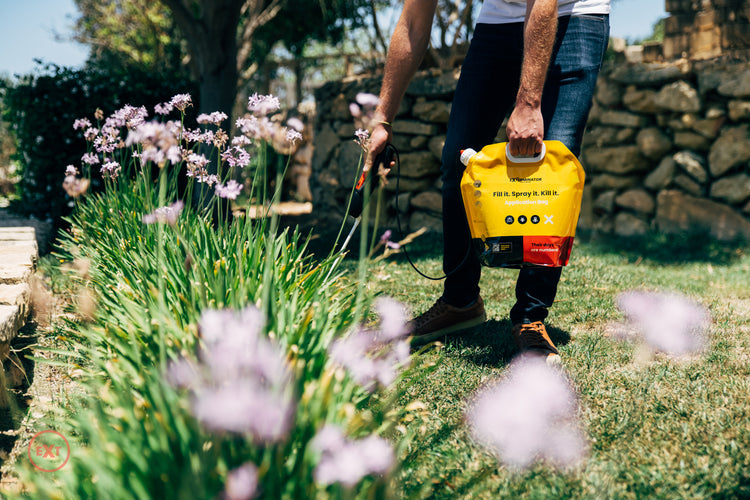 Pest  Control Service