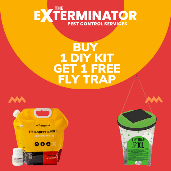 DIY Home Pest Control Kit + Refill Kit + 💥 FREE FLY TRAP OFFER 💥