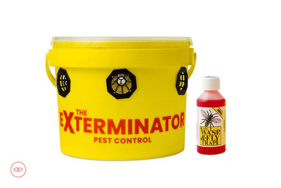 Large Hornet trap with Bait