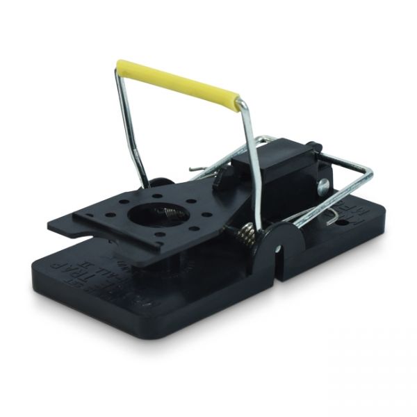 Mouse Snap Trap - The Exterminator Pest Control