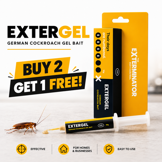 🪳 ExterGel Triple Pack – Buy 2, Get 1 FREE