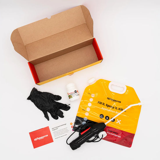 DIY Home Pest Control Kit + Refill Kit + 💥 FREE FLY TRAP OFFER 💥